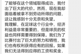 涉县为什么选择专业追讨公司来处理您的债务纠纷？